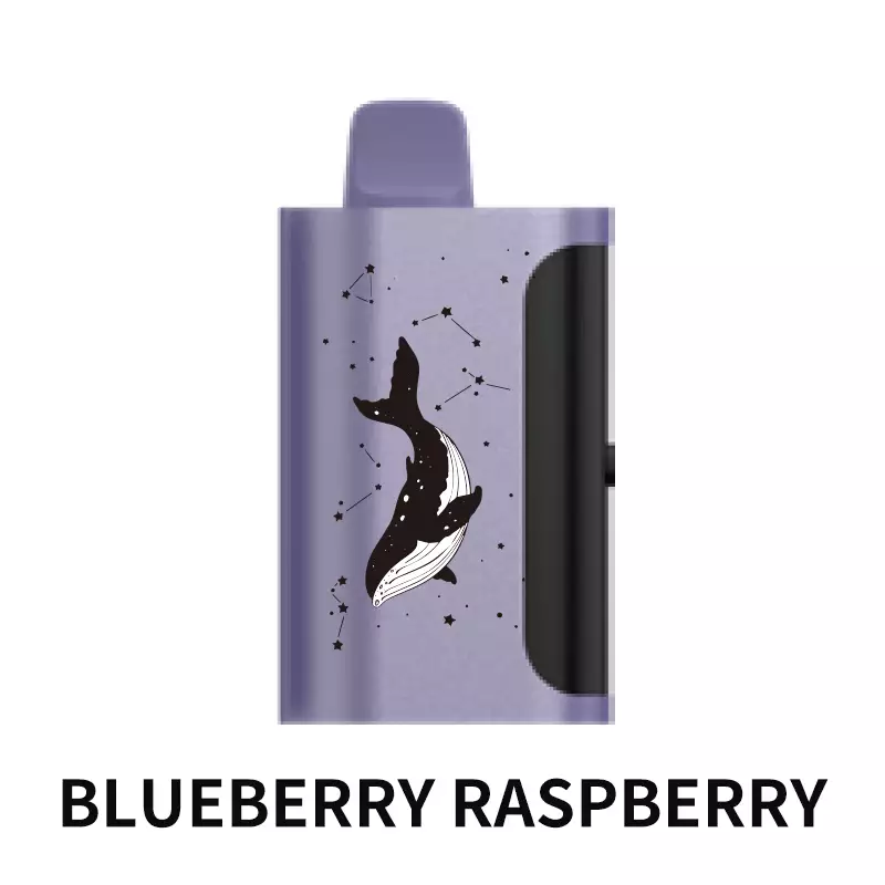 blueberry raspberry.webp blueberry raspberry.webp