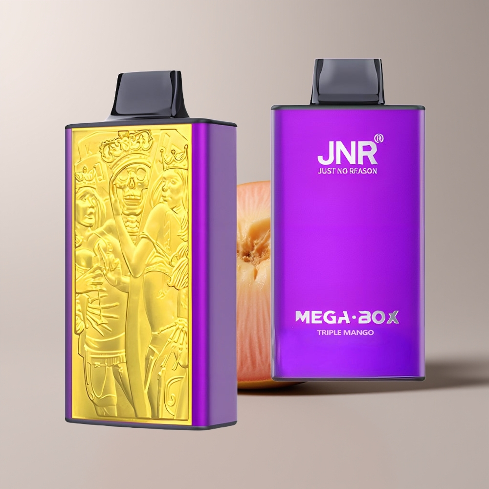 jnr mega box 25000 triple mango dual core xfvt5807 1.jpg