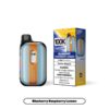 linvo20beyond20100k20blueberry20raspberry20lemon 1.jpg