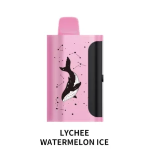 lychee watermelon ice.webp