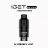 blueberry mint.webp