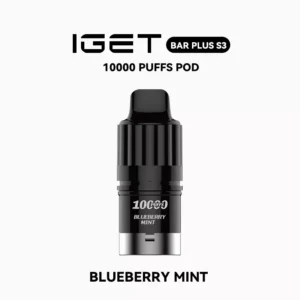 blueberry mint.webp