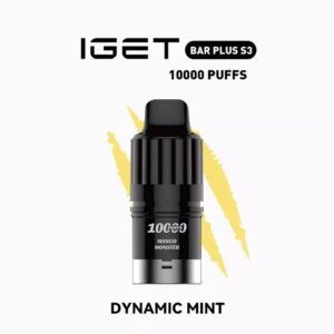 dynamic mint.jpg