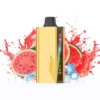 JNR Cruiser 12000 Puffs – Watermelon Ice 西瓜冰watermelon ice.webp